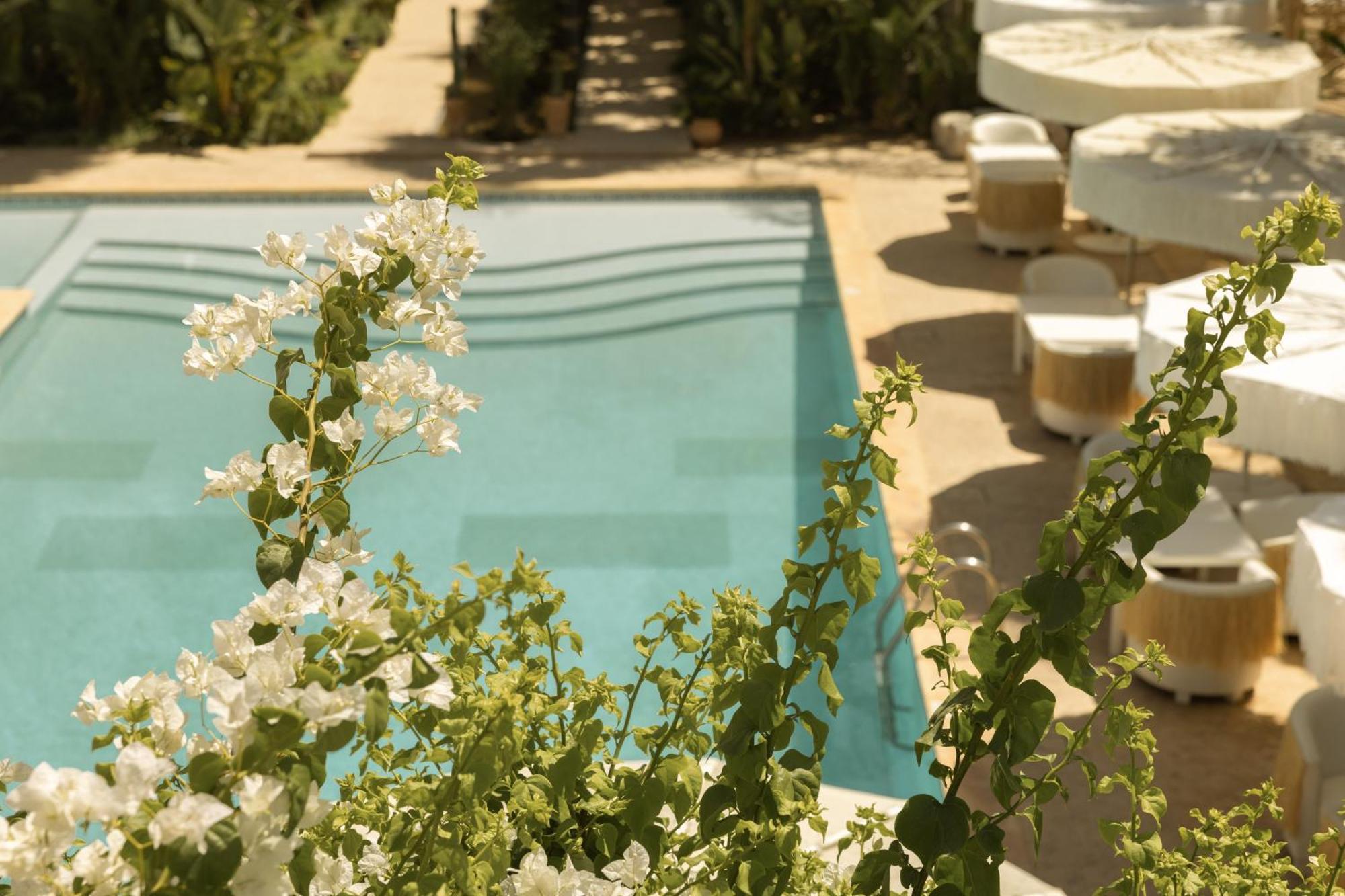 Les Palmiers Boutique Hotel & Spa Марракеш Екстер'єр фото